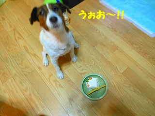 e0121589_19314259.jpg