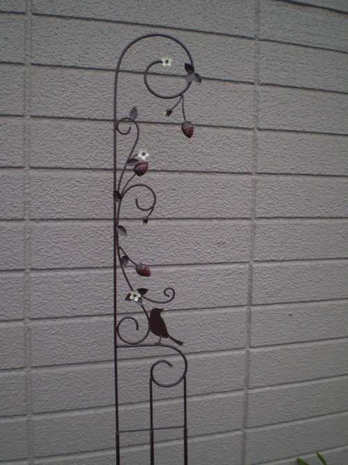 a0135990_2215476.jpg