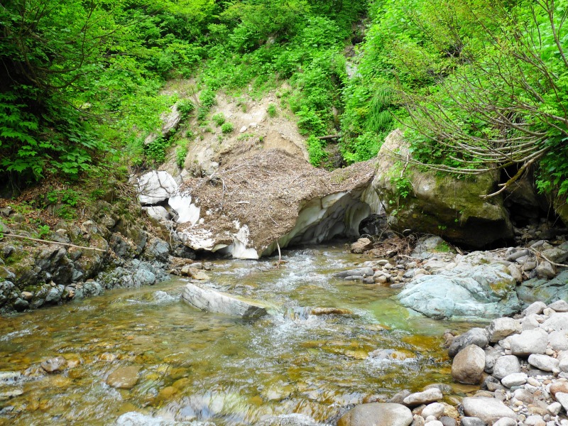 e0202393_18141660.jpg