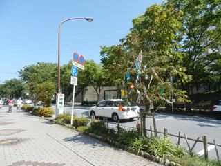 f0130894_2152890.jpg
