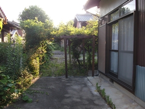 d0240201_1242644.jpg