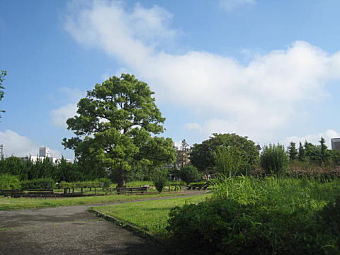 d0046702_5561493.jpg