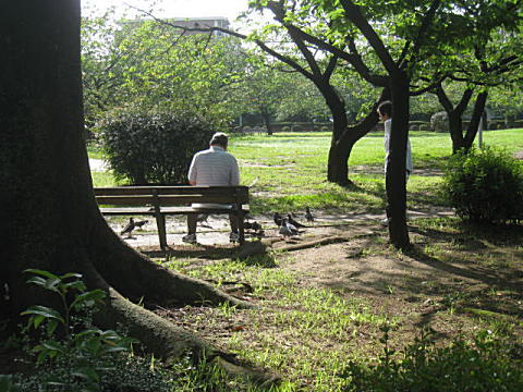 d0046702_5563013.jpg