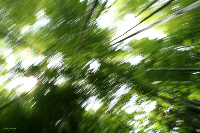f0185802_22532280.jpg