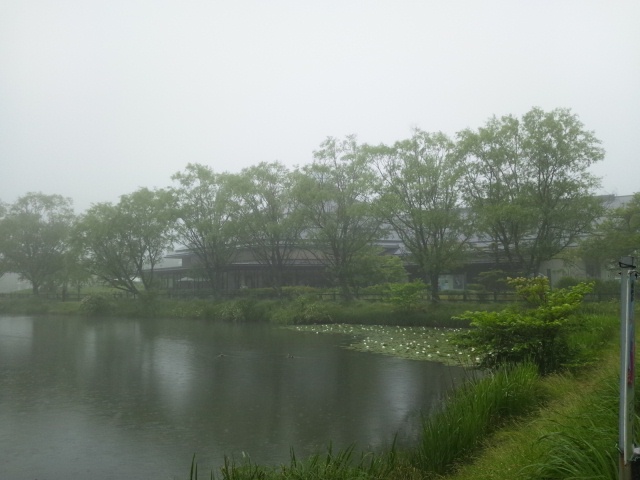 d0260803_219329.jpg