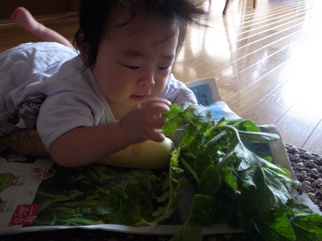 f0159406_20253290.jpg