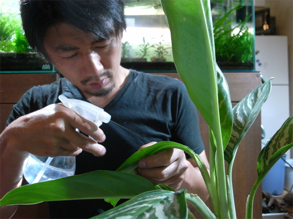 f0172612_22402769.jpg