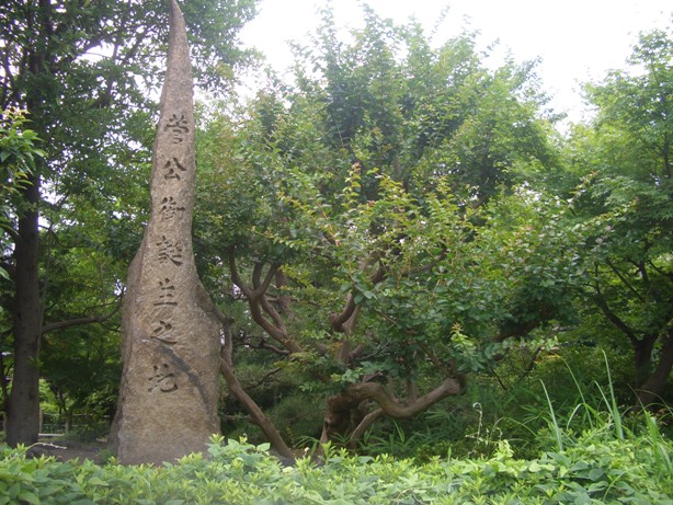 e0033713_10404580.jpg