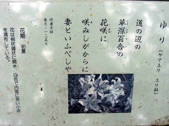 e0083517_2340923.jpg