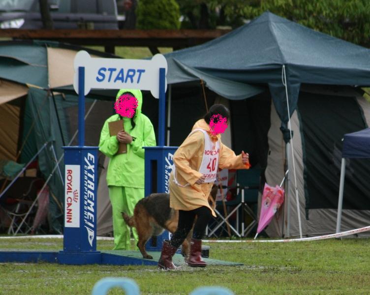 a0253518_1720127.jpg