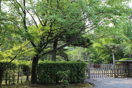 f0054428_23485615.jpg