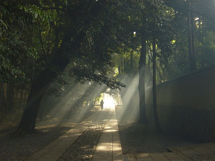 b0184437_15323117.jpg