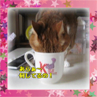 e0255638_16365988.gif