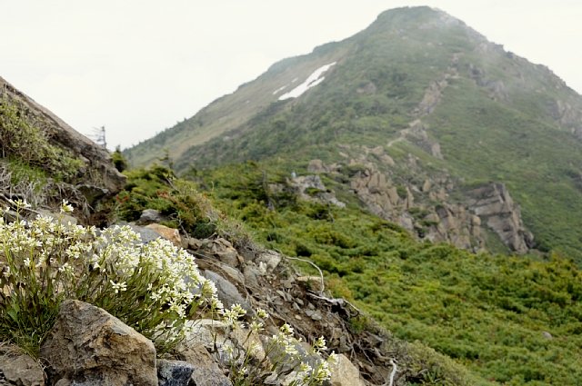 b0122448_2229436.jpg