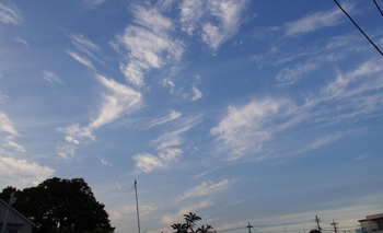 e0098256_0375.jpg