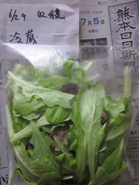 e0181260_20255928.jpg