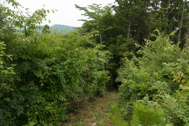 b0167762_23585893.jpg