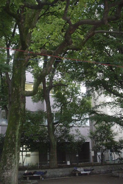 b0122664_145836.jpg