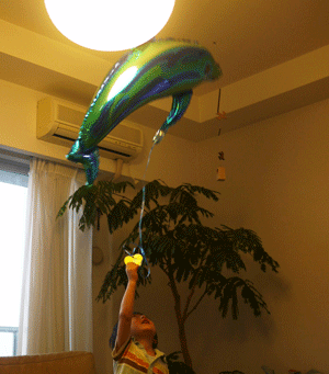 a0271067_1264572.gif