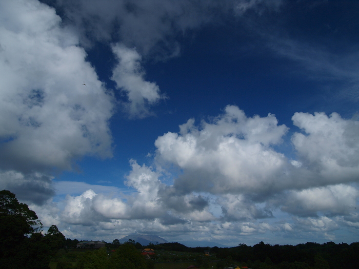 a0260570_1558384.jpg
