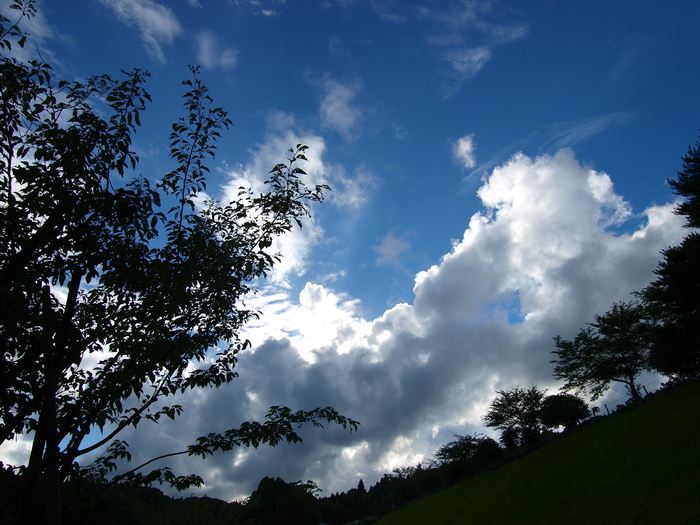 a0260570_15585066.jpg