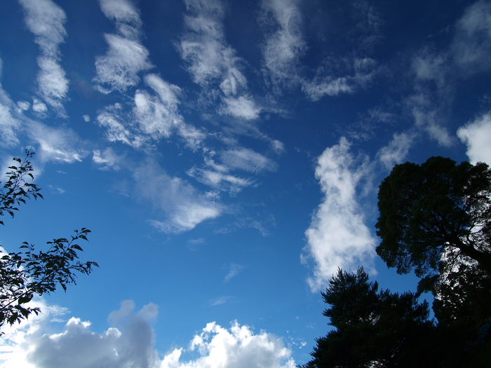 a0260570_15591970.jpg