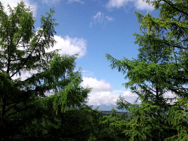 d0147774_022224.jpg