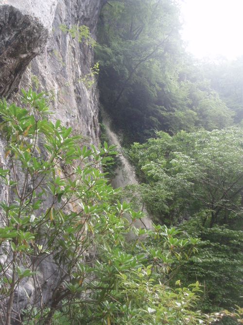 f0223480_20535736.jpg