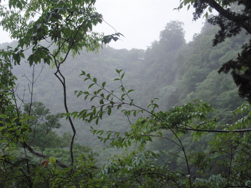 f0223480_20555428.jpg