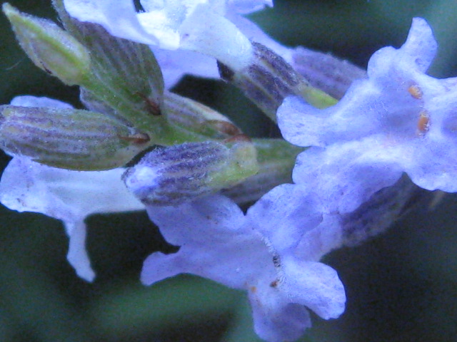 a0249986_20272882.jpg