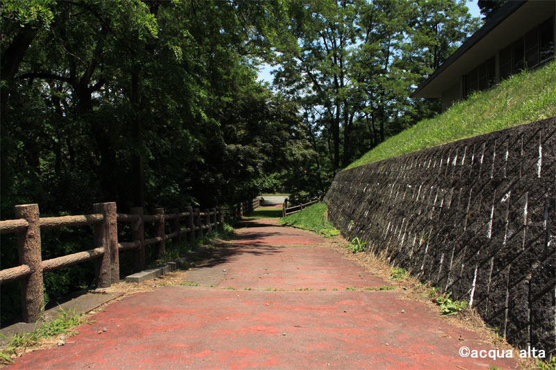 d0217090_1957438.jpg