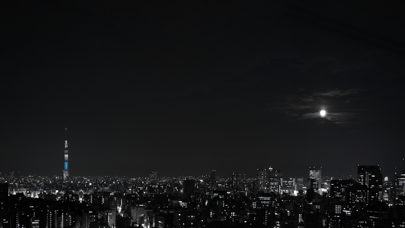 a0185693_4215573.jpg