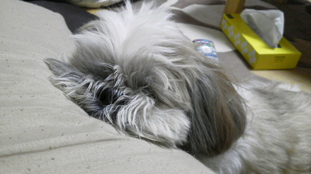 f0035996_18322745.jpg