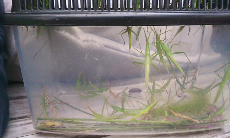 b0201198_16341100.jpg
