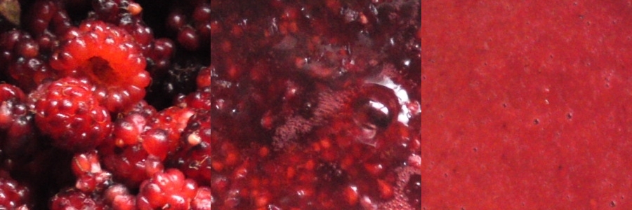 a0031000_11244029.jpg