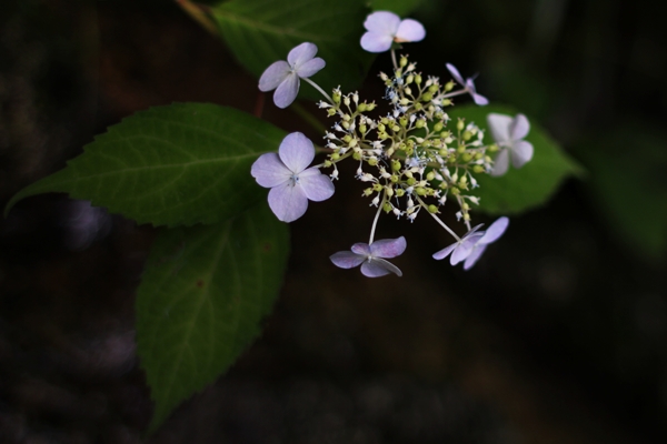 c0228404_210327.jpg