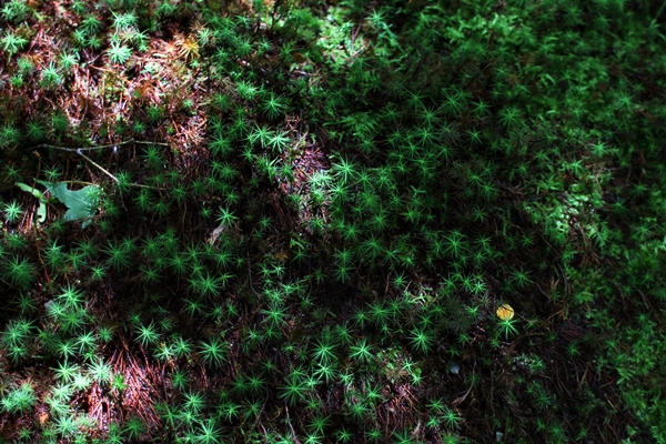 c0228404_2951100.jpg