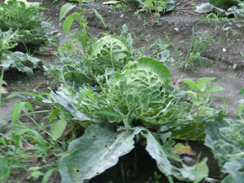 b0239909_004519.jpg
