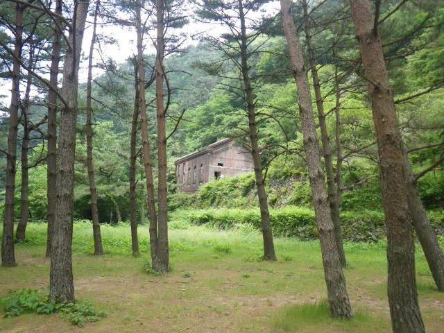 d0006512_1625588.jpg