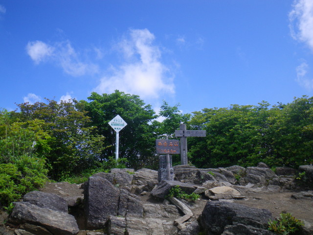 d0006512_1629428.jpg
