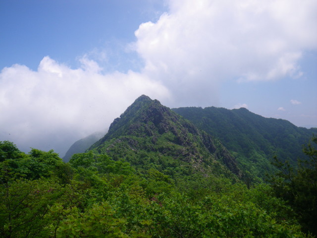 d0006512_16354258.jpg