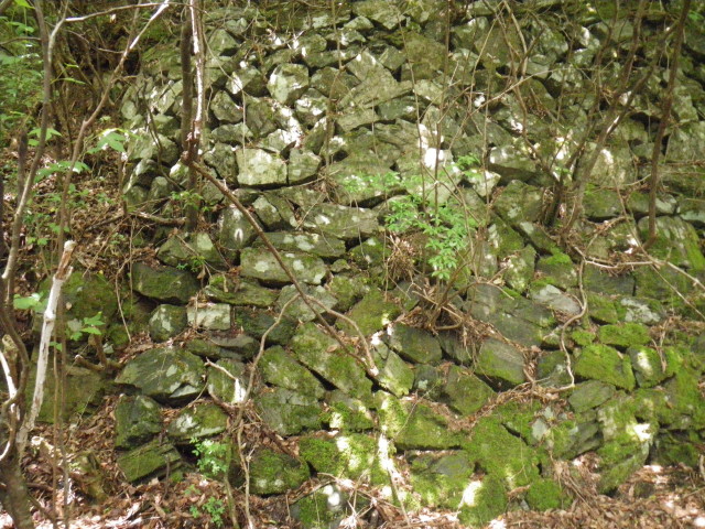 d0006512_16393135.jpg
