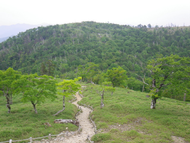 d0006512_17483117.jpg