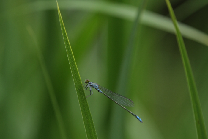 c0215627_21551227.jpg