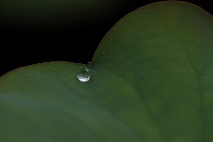 c0215627_21554578.jpg
