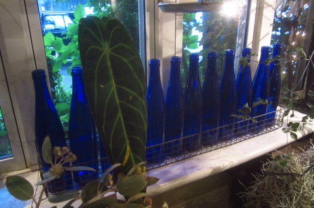 c0102228_20142350.jpg