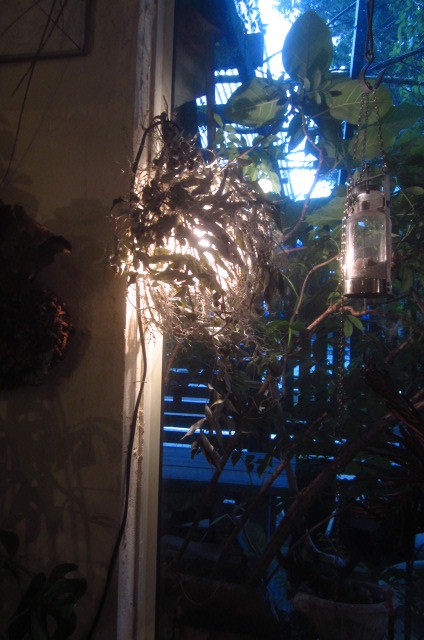 c0102228_20225781.jpg