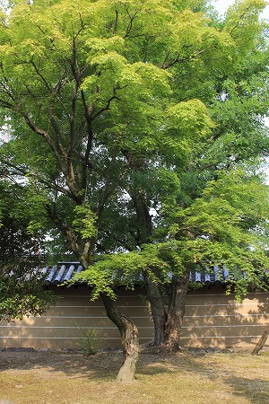 f0054428_022856.jpg