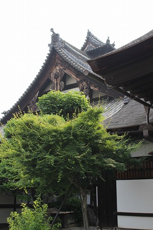 f0054428_056193.jpg