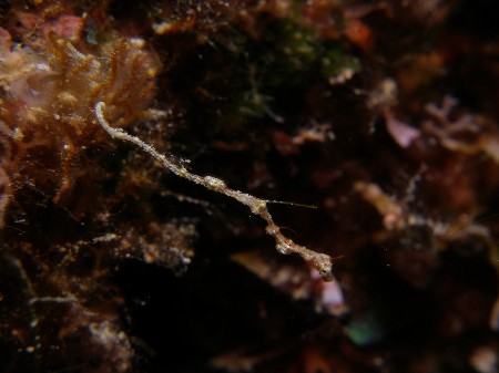 b0100730_2216840.jpg